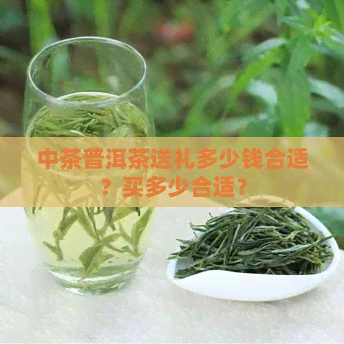 中茶普洱茶送礼多少钱合适？买多少合适？