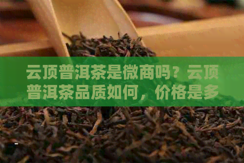 云顶普洱茶是微商吗？云顶普洱茶品质如何，价格是多少？