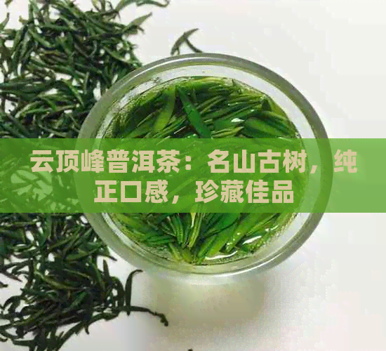 云顶峰普洱茶：名山古树，纯正口感，珍藏佳品