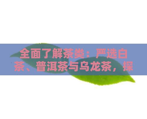 全面了解茶类：严选白茶、普洱茶与乌龙茶，探究各自特点与泡法