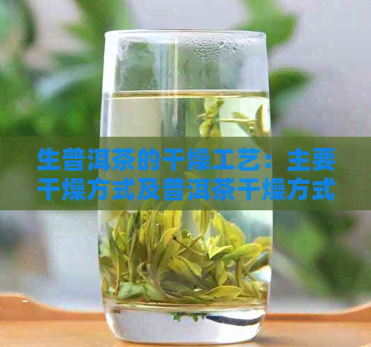 生普洱茶的干燥工艺：主要干燥方式及普洱茶干燥方式解析