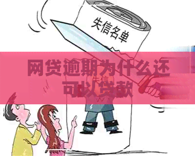 网贷逾期为什么还可以贷款