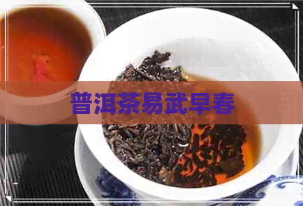 普洱茶易武早春