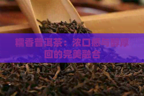 糯香普洱茶：浓口感与醇厚回的完美融合