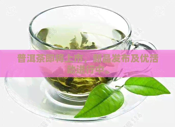 普洱茶即将上市，新品发布及优活动进行中。