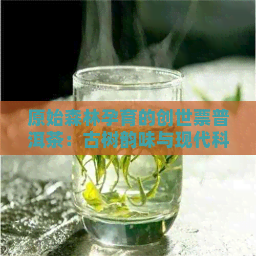 原始森林孕育的创世票普洱茶：古树韵味与现代科技的完美融合