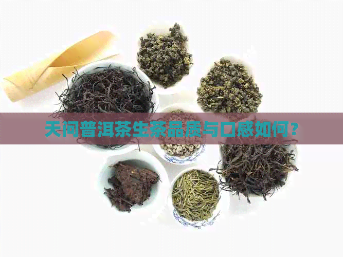 天问普洱茶生茶品质与口感如何？