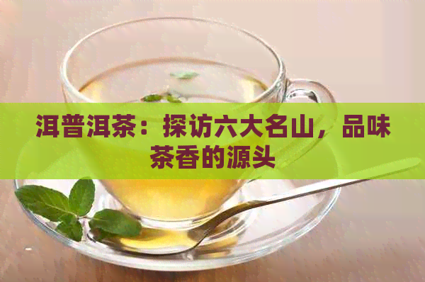 洱普洱茶：探访六大名山，品味茶香的源头