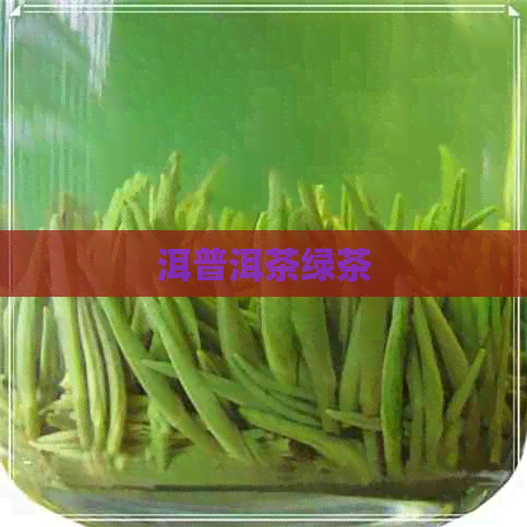 洱普洱茶绿茶