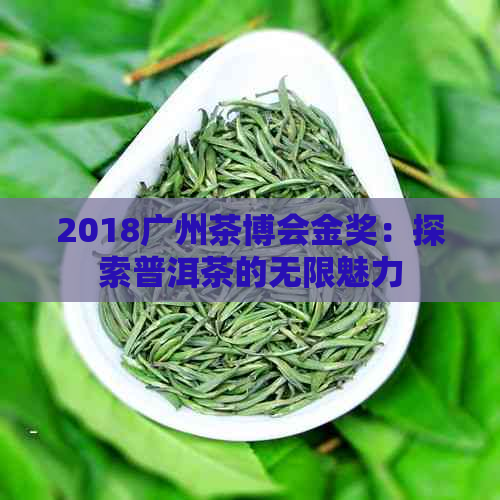 2018广州茶博会金奖：探索普洱茶的无限魅力