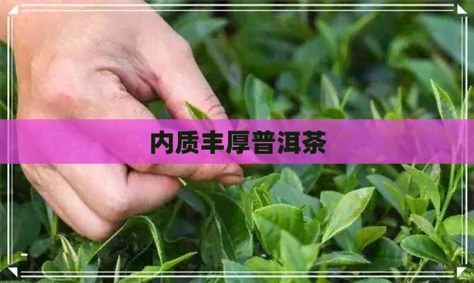 内质丰厚普洱茶