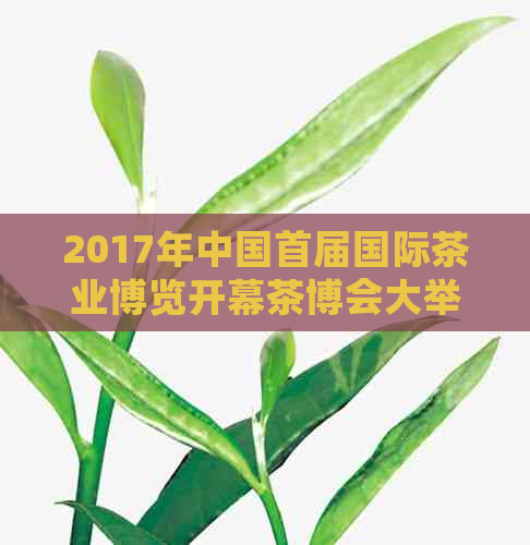 2017年中国首届国际茶业博览开幕茶博会大举行