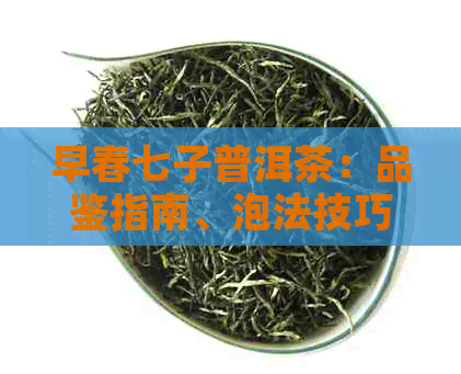 早春七子普洱茶：品鉴指南、泡法技巧与适宜搭配，助你成为茶艺达人