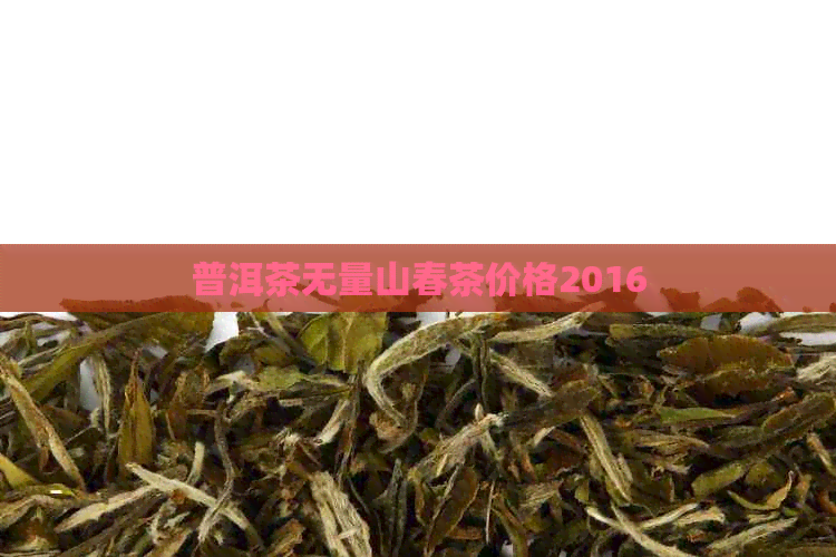 普洱茶无量山春茶价格2016