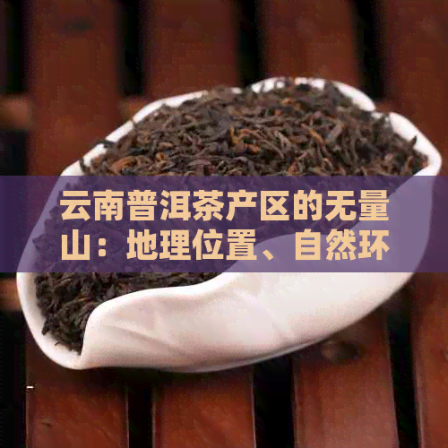 云南普洱茶产区的无量山：地理位置、自然环境与茶文化的融合