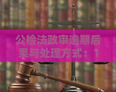 公检法政审逾期后果与处理方式：10种情形与8种不合格情况详解