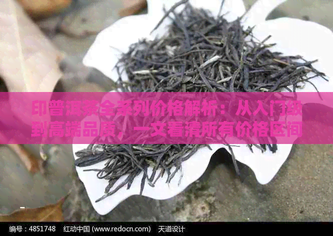 印普洱茶全系列价格解析：从入门级到高端品质，一文看清所有价格区间