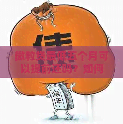 微粒贷更低五个月可以提前还吗？如何操作？是否需要支付额外利息？