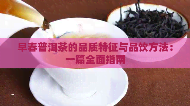 早春普洱茶的品质特征与品饮方法：一篇全面指南