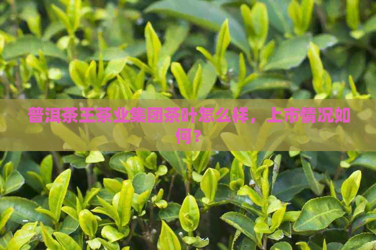 普洱茶王茶业集团茶叶怎么样，上市情况如何？