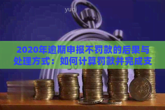 2020年逾期申报不罚款的后果与处理方式：如何计算罚款并完成支付