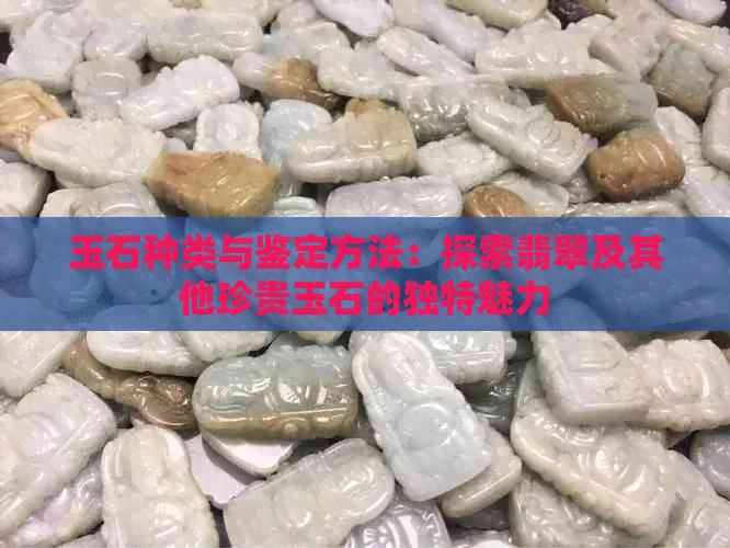 玉石种类与鉴定方法：探索翡翠及其他珍贵玉石的独特魅力