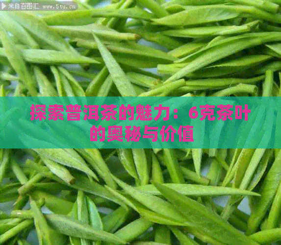 探索普洱茶的魅力：6克茶叶的奥秘与价值