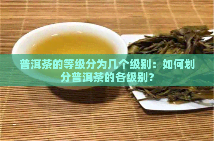 普洱茶的等级分为几个级别：如何划分普洱茶的各级别？