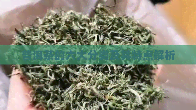 普洱茶的六大分类及其特点解析