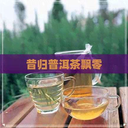 昔归普洱茶飘零