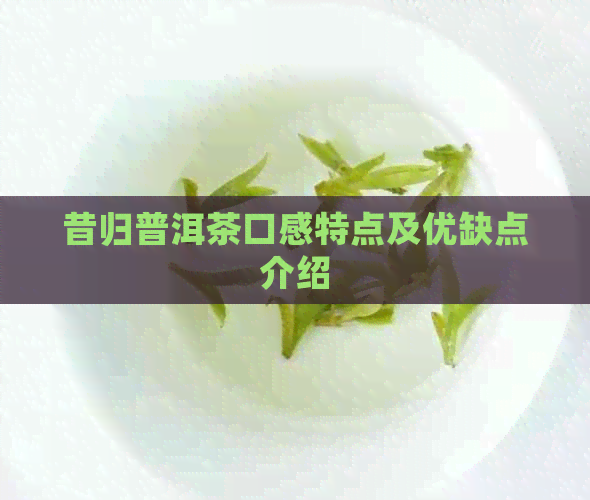 昔归普洱茶口感特点及优缺点介绍