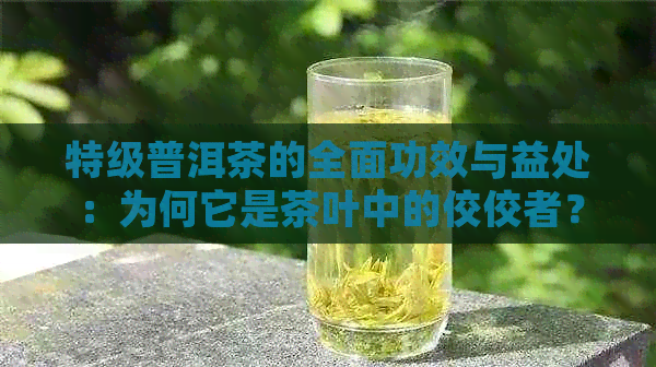 特级普洱茶的全面功效与益处：为何它是茶叶中的佼佼者？