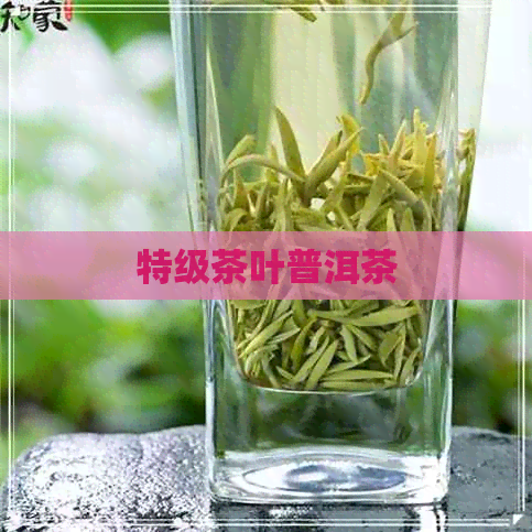 特级茶叶普洱茶