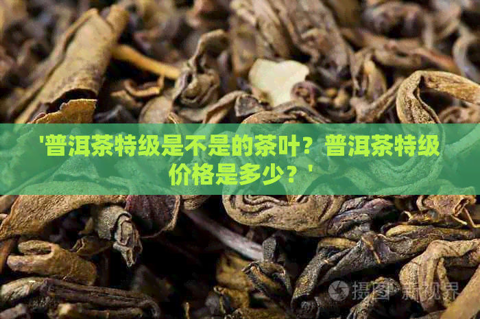 '普洱茶特级是不是的茶叶？普洱茶特级价格是多少？'