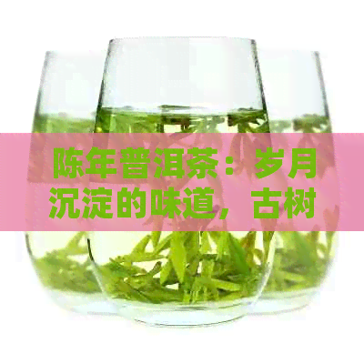 陈年普洱茶：岁月沉淀的味道，古树茶的魅力，纯正熟香的诱惑