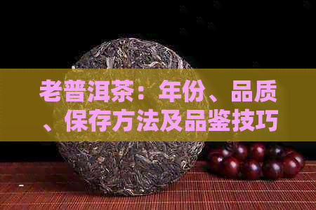 老普洱茶：年份、品质、保存方法及品鉴技巧全面解析