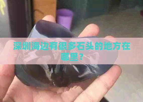 深圳海边有很多石头的地方在哪里？