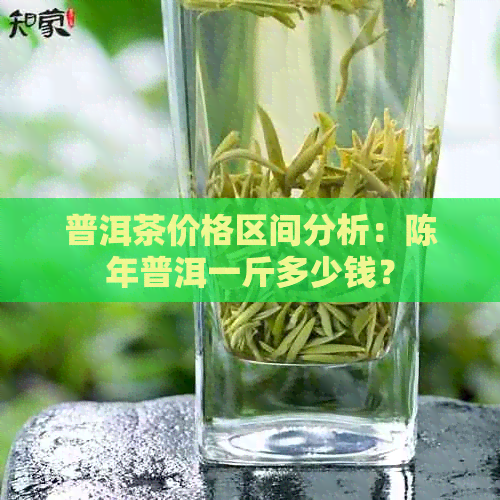 普洱茶价格区间分析：陈年普洱一斤多少钱？