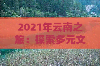 2021年云南之旅：探索多元文化，品尝地道美食，领略壮丽自然风光