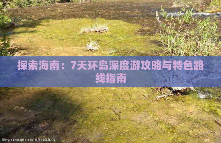 探索海南：7天环岛深度游攻略与特色路线指南