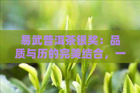 易武普洱茶银奖：品质与历的完美结合，一次难忘的品茶体验