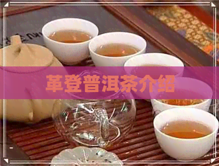 革登普洱茶介绍