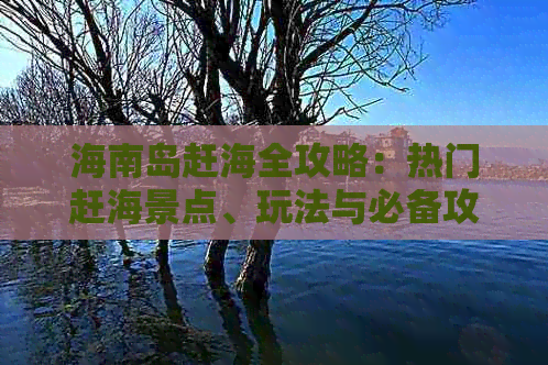 海南岛赶海全攻略：热门赶海景点、玩法与必备攻略指南