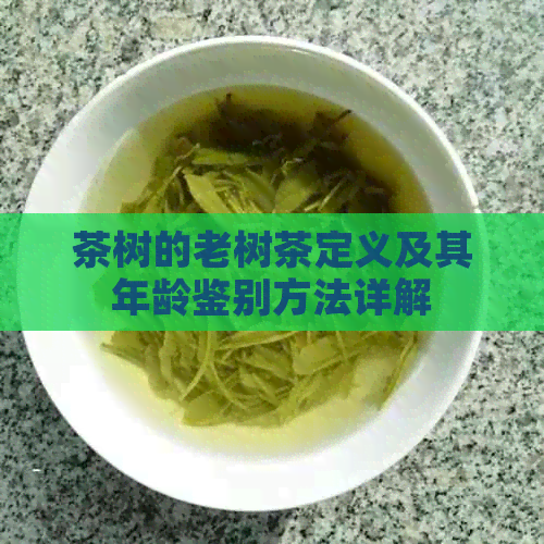 茶树的老树茶定义及其年龄鉴别方法详解