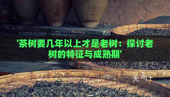 '茶树要几年以上才是老树：探讨老树的特征与成熟期'