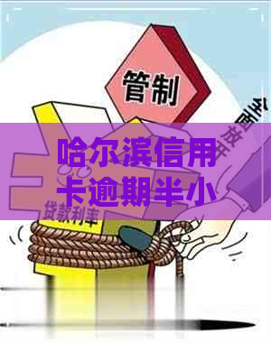 哈尔滨信用卡逾期半小时还款会怎么样