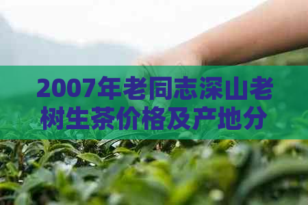 2007年老同志深山老树生茶价格及产地分析：阿里批发促销与货源探讨