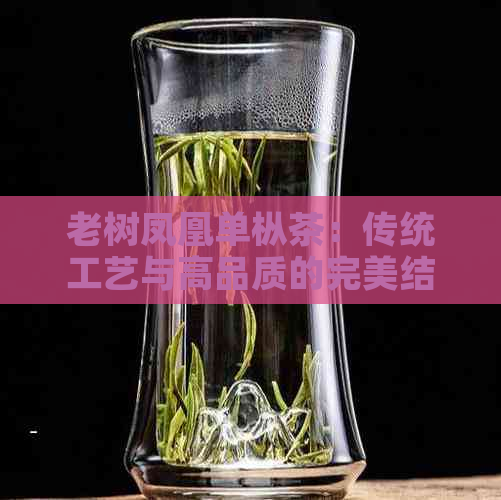 老树凤凰单枞茶：传统工艺与高品质的完美结合