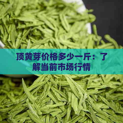 顶黄芽价格多少一斤：了解当前市场行情