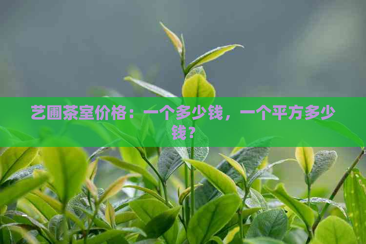 艺圃茶室价格：一个多少钱，一个平方多少钱？